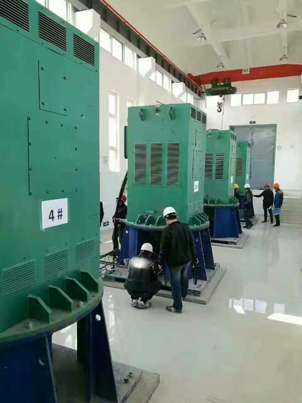 西乡某污水处理厂使用我厂的立式高压电机安装现场生产厂家